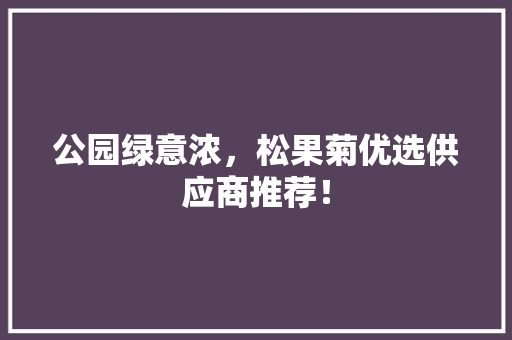 公园绿意浓，松果菊优选供应商推荐！