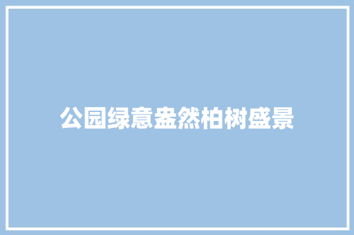 公园绿意盎然柏树盛景