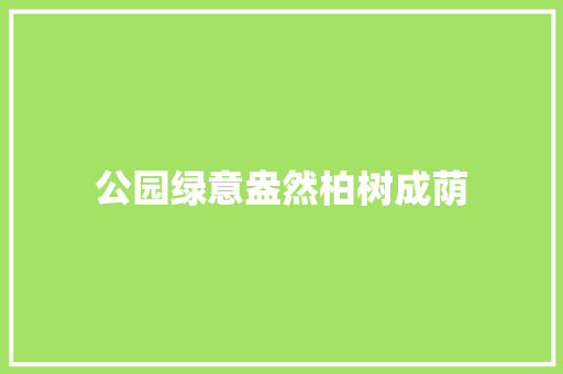 公园绿意盎然柏树成荫