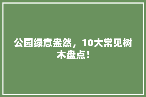 公园绿意盎然，10大常见树木盘点！