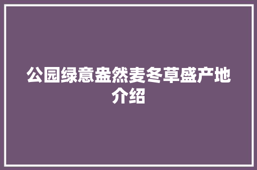 公园绿意盎然麦冬草盛产地介绍