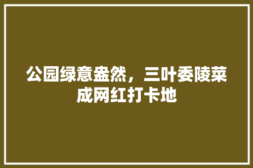 公园绿意盎然，三叶委陵菜成网红打卡地