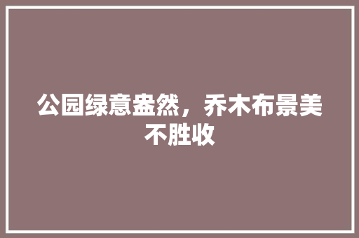 公园绿意盎然，乔木布景美不胜收