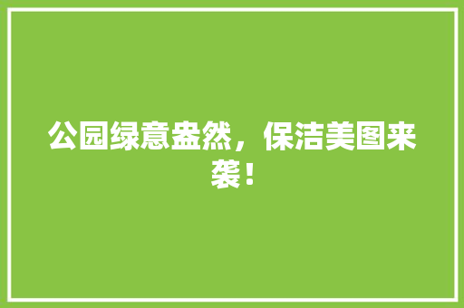 公园绿意盎然，保洁美图来袭！