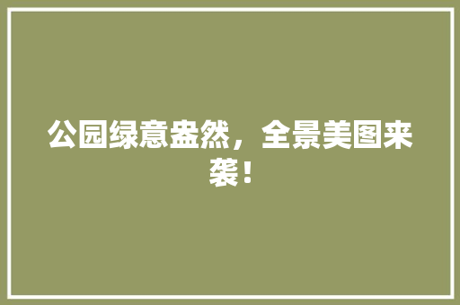 公园绿意盎然，全景美图来袭！