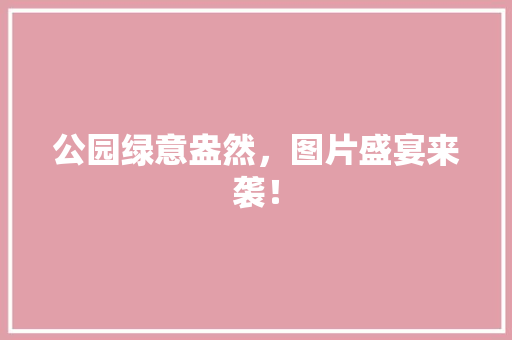 公园绿意盎然，图片盛宴来袭！