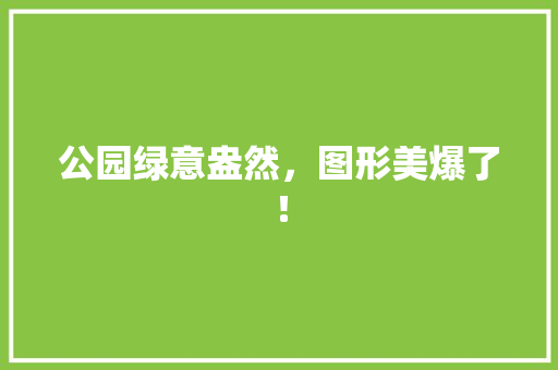 公园绿意盎然，图形美爆了！