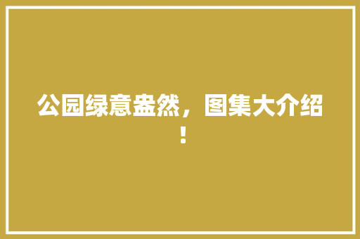 公园绿意盎然，图集大介绍！