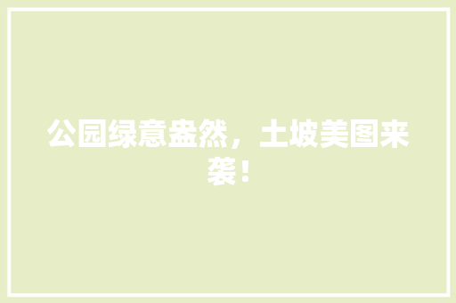 公园绿意盎然，土坡美图来袭！
