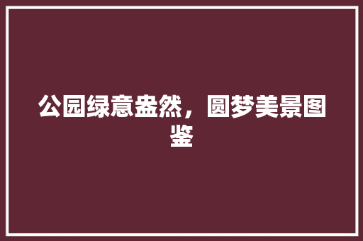 公园绿意盎然，圆梦美景图鉴