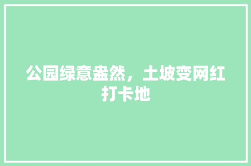 公园绿意盎然，土坡变网红打卡地