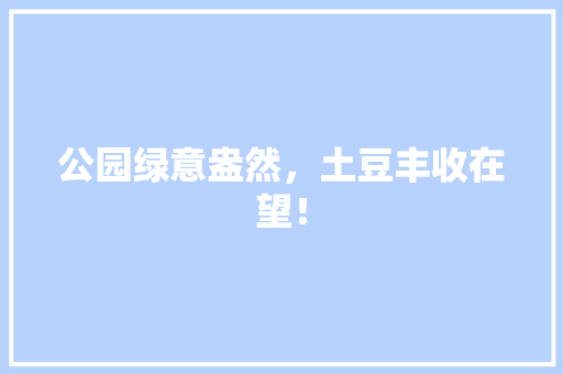 公园绿意盎然，土豆丰收在望！