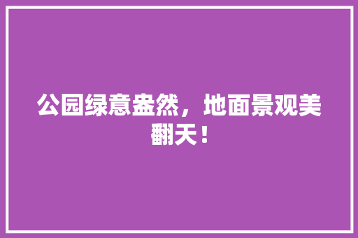公园绿意盎然，地面景观美翻天！