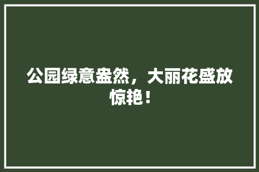 公园绿意盎然，大丽花盛放惊艳！