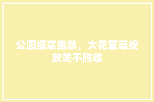 公园绿意盎然，大花萱草绽放美不胜收