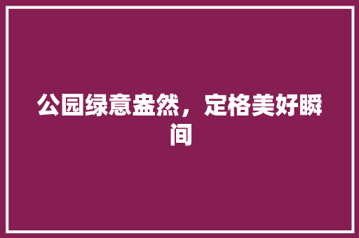 公园绿意盎然，定格美好瞬间