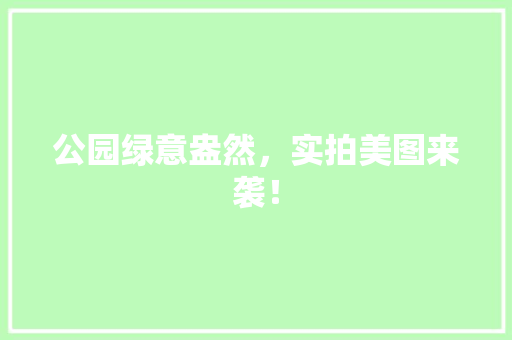 公园绿意盎然，实拍美图来袭！