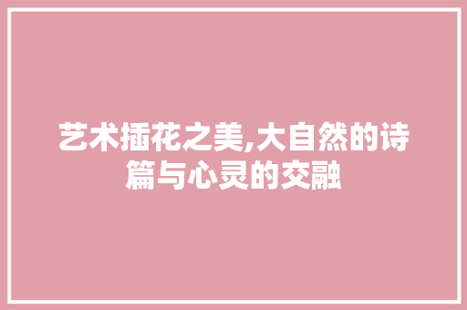 艺术插花之美,大自然的诗篇与心灵的交融