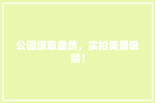公园绿意盎然，实拍美景吸睛！