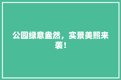 公园绿意盎然，实景美照来袭！