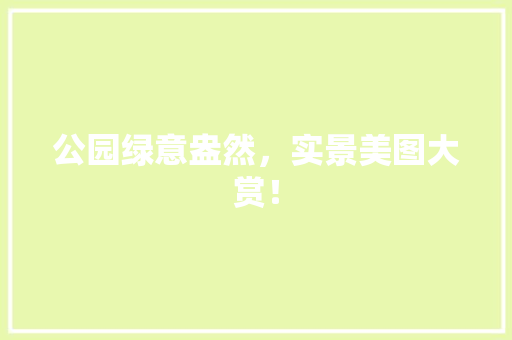 公园绿意盎然，实景美图大赏！