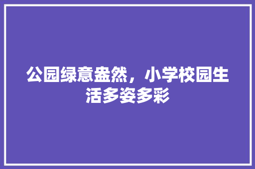 公园绿意盎然，小学校园生活多姿多彩