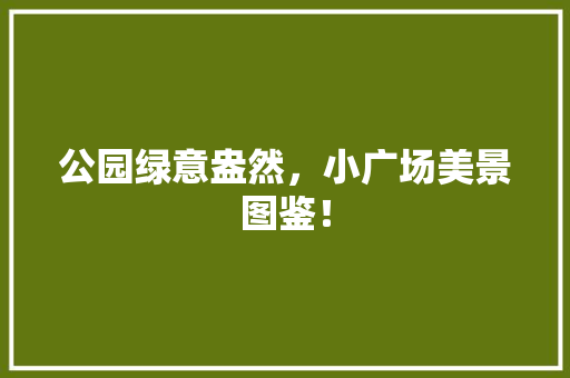 公园绿意盎然，小广场美景图鉴！