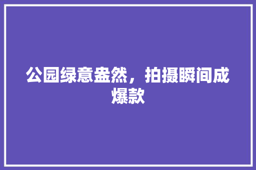 公园绿意盎然，拍摄瞬间成爆款