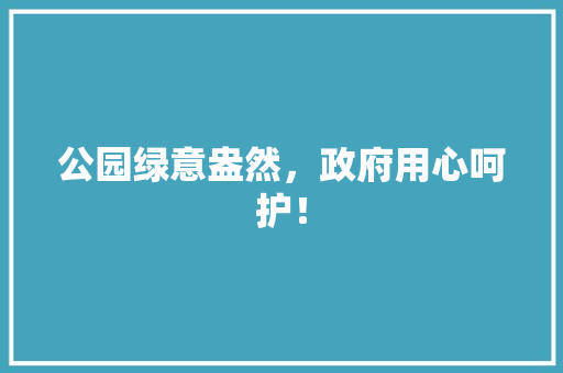公园绿意盎然，政府用心呵护！