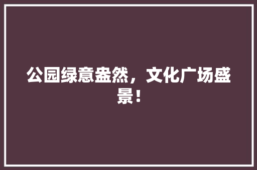 公园绿意盎然，文化广场盛景！