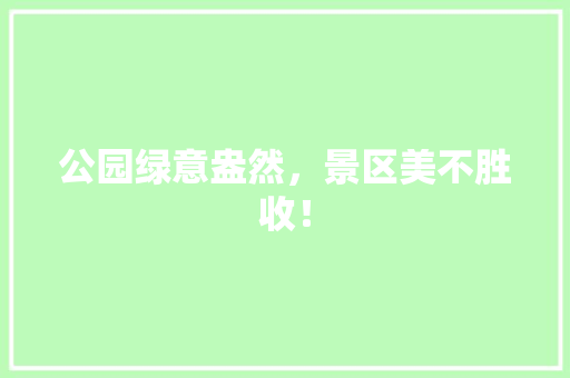公园绿意盎然，景区美不胜收！