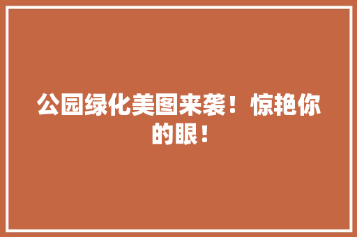 公园绿化美图来袭！惊艳你的眼！