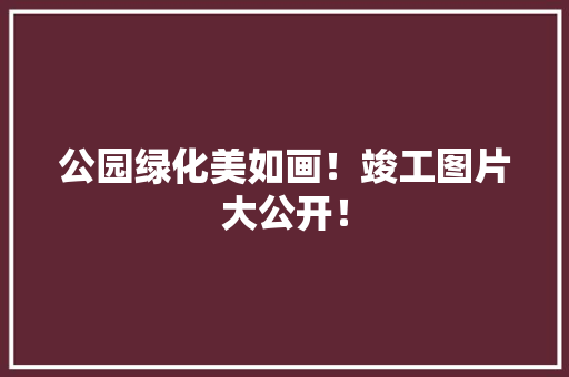 公园绿化美如画！竣工图片大公开！