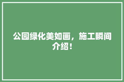 公园绿化美如画，施工瞬间介绍！