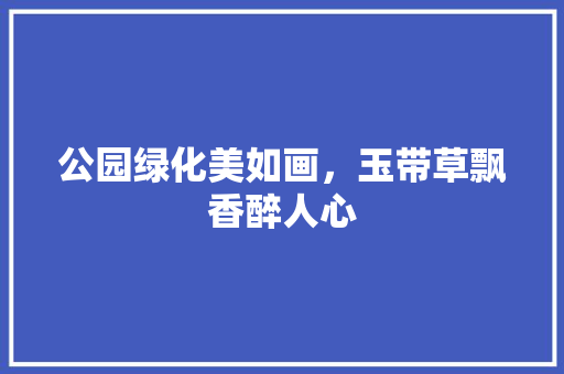 公园绿化美如画，玉带草飘香醉人心