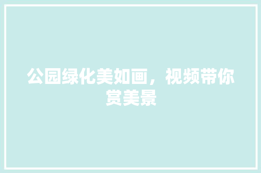 公园绿化美如画，视频带你赏美景