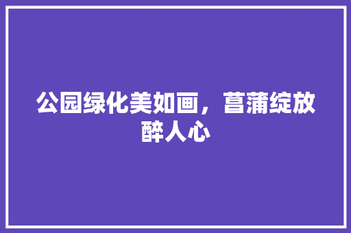 公园绿化美如画，菖蒲绽放醉人心