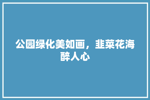 公园绿化美如画，韭菜花海醉人心