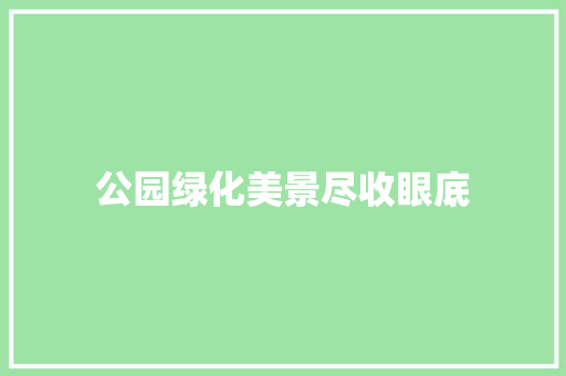公园绿化美景尽收眼底