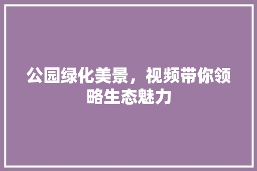 公园绿化美景，视频带你领略生态魅力