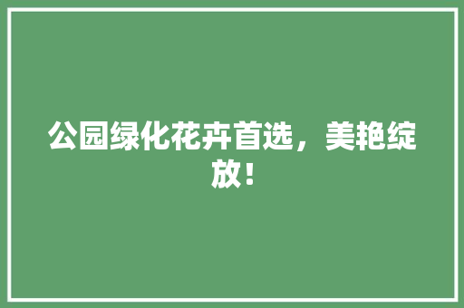 公园绿化花卉首选，美艳绽放！