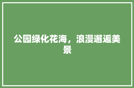 公园绿化花海，浪漫邂逅美景