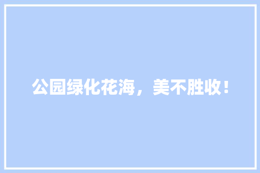 公园绿化花海，美不胜收！
