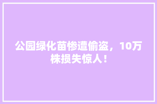 公园绿化苗惨遭偷盗，10万株损失惊人！