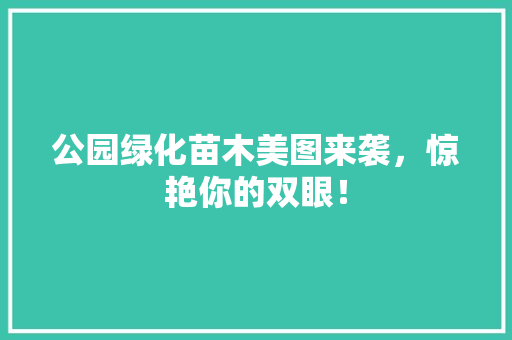 公园绿化苗木美图来袭，惊艳你的双眼！