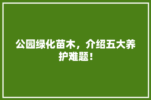 公园绿化苗木，介绍五大养护难题！