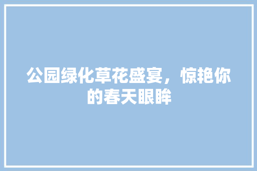 公园绿化草花盛宴，惊艳你的春天眼眸