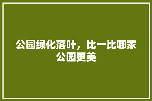 公园绿化落叶，比一比哪家公园更美