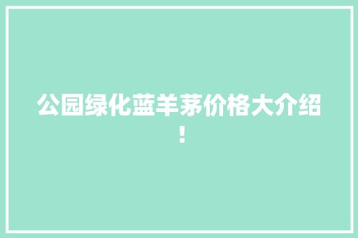 公园绿化蓝羊茅价格大介绍！