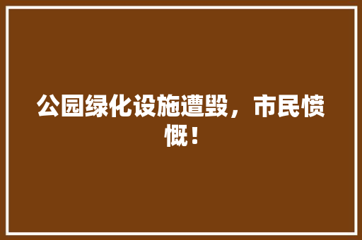 公园绿化设施遭毁，市民愤慨！